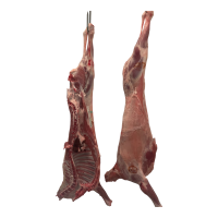 Lechazo de León
